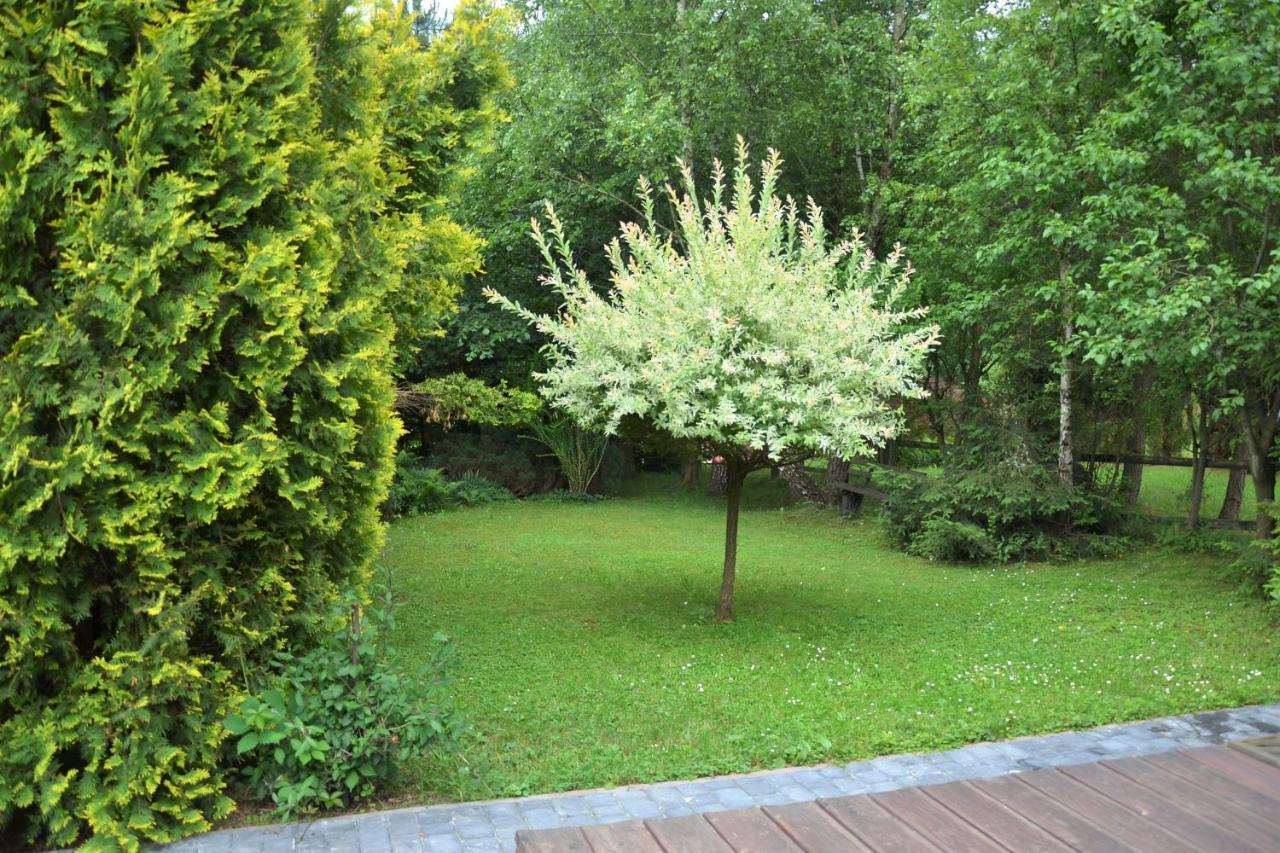 Domki Letniskowe Pod Lasem Koziniec Exterior foto