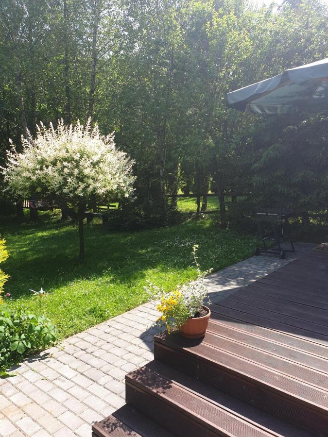 Domki Letniskowe Pod Lasem Koziniec Exterior foto